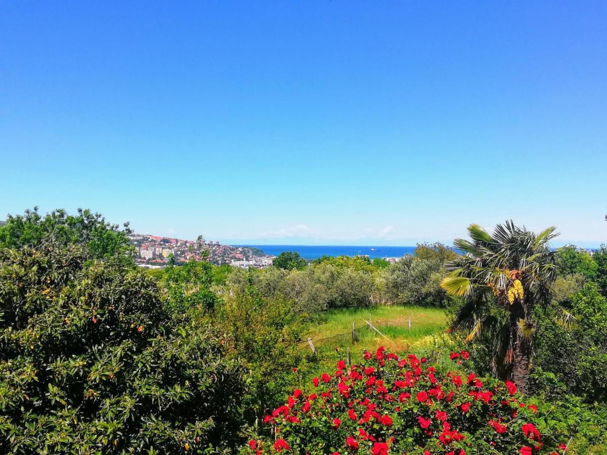 Peaceful View Apartment Koper Exterior photo